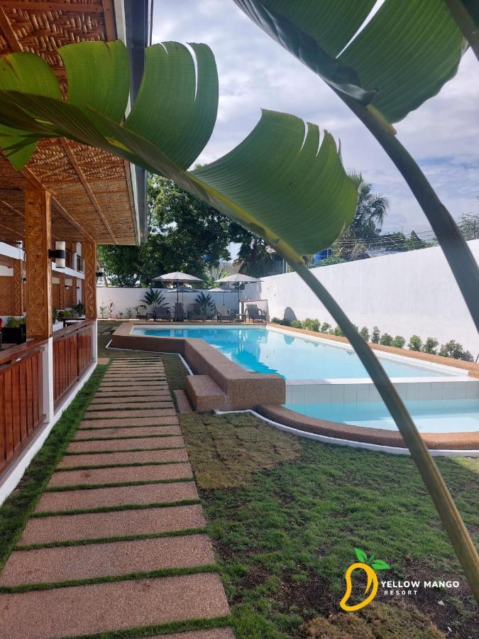 Yellow Mango Resort Bohol بنغلاو المظهر الخارجي الصورة
